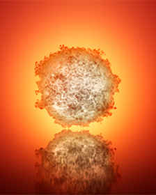 T-MAX® Sphere visual.