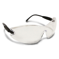 Lunettes de sécurité transparentes/noires
