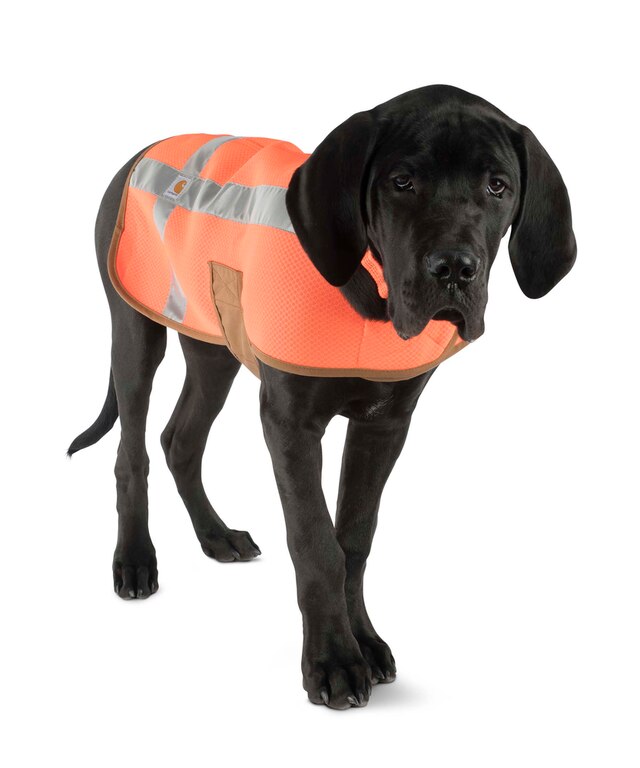 Carhartt Dog High Visibility Safety Vest Orange Marks