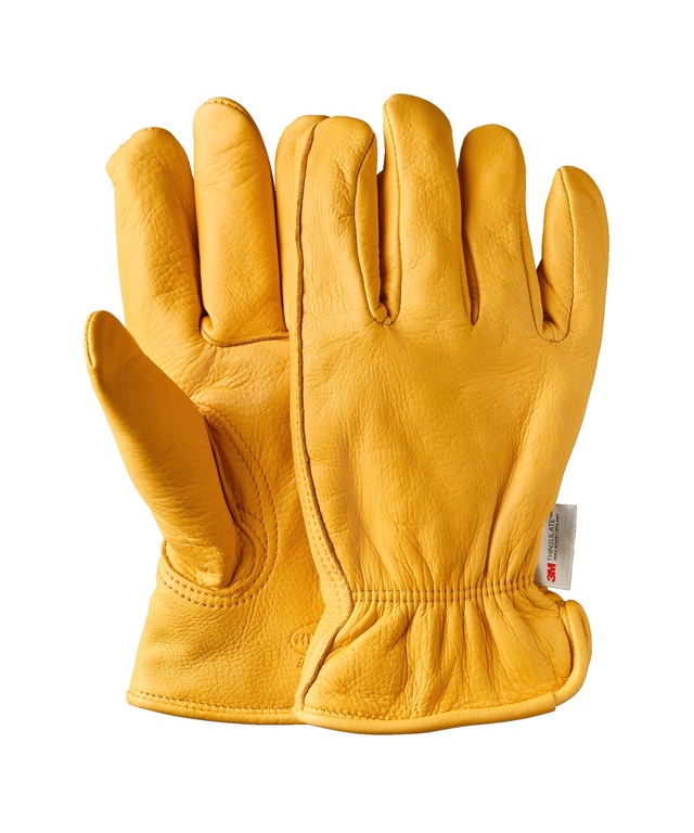 Gants de conduite en peau de daim avec isolant Thinsulate, Dakota Workpro Series