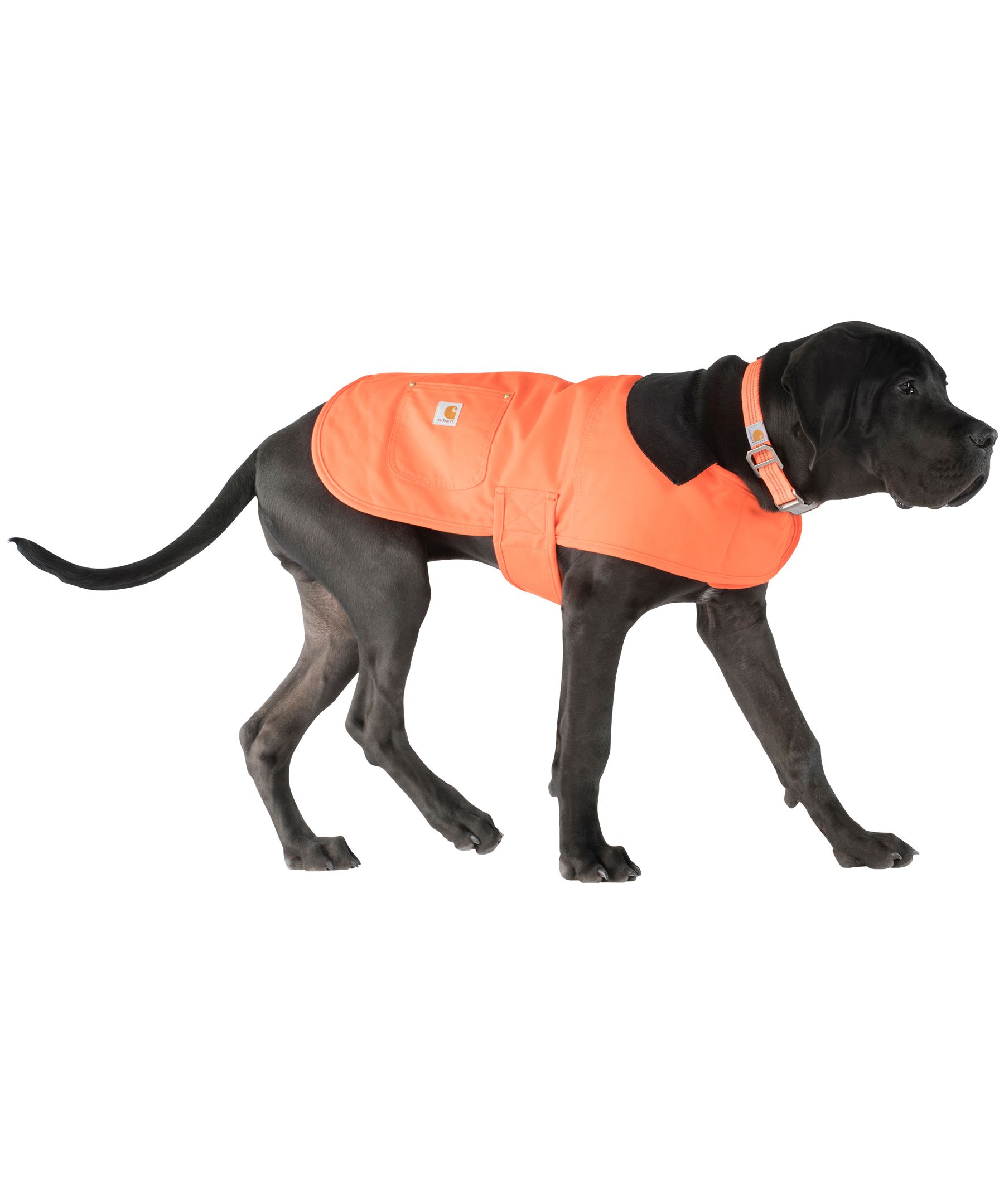 Dog Orange Chore Coat -