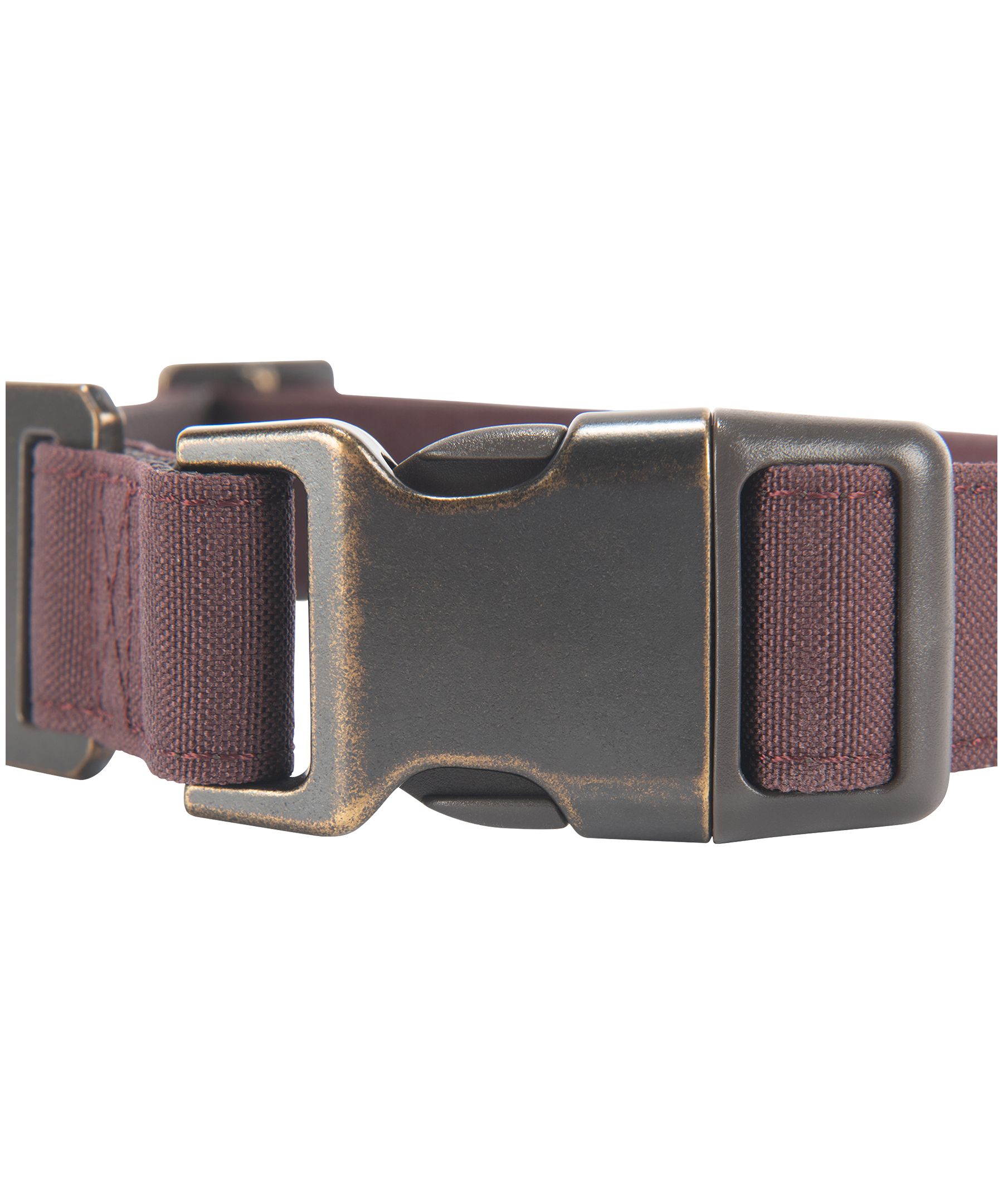 Collier pour chien en toile de nylon, Journeyman, Carhartt