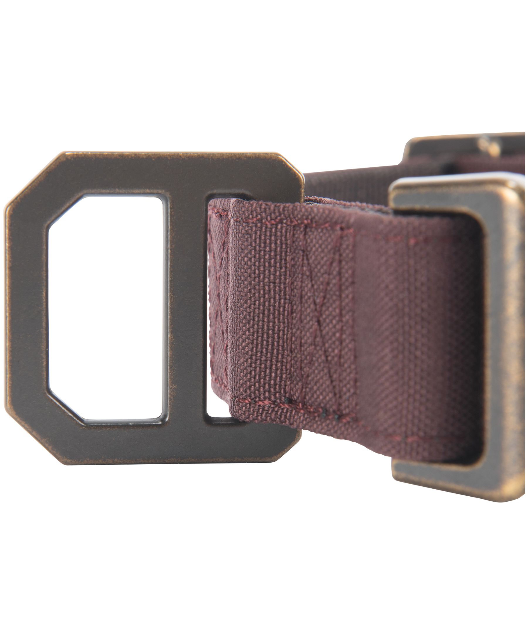 Collier pour chien en toile de nylon, Journeyman, Carhartt