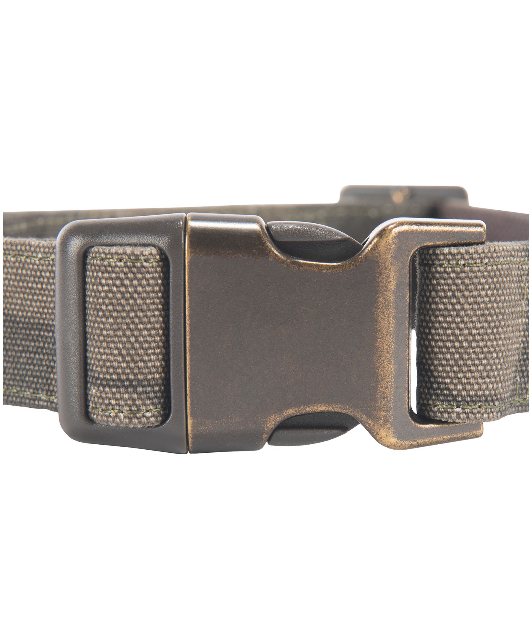 Collier pour chien en toile de nylon, Journeyman, Carhartt