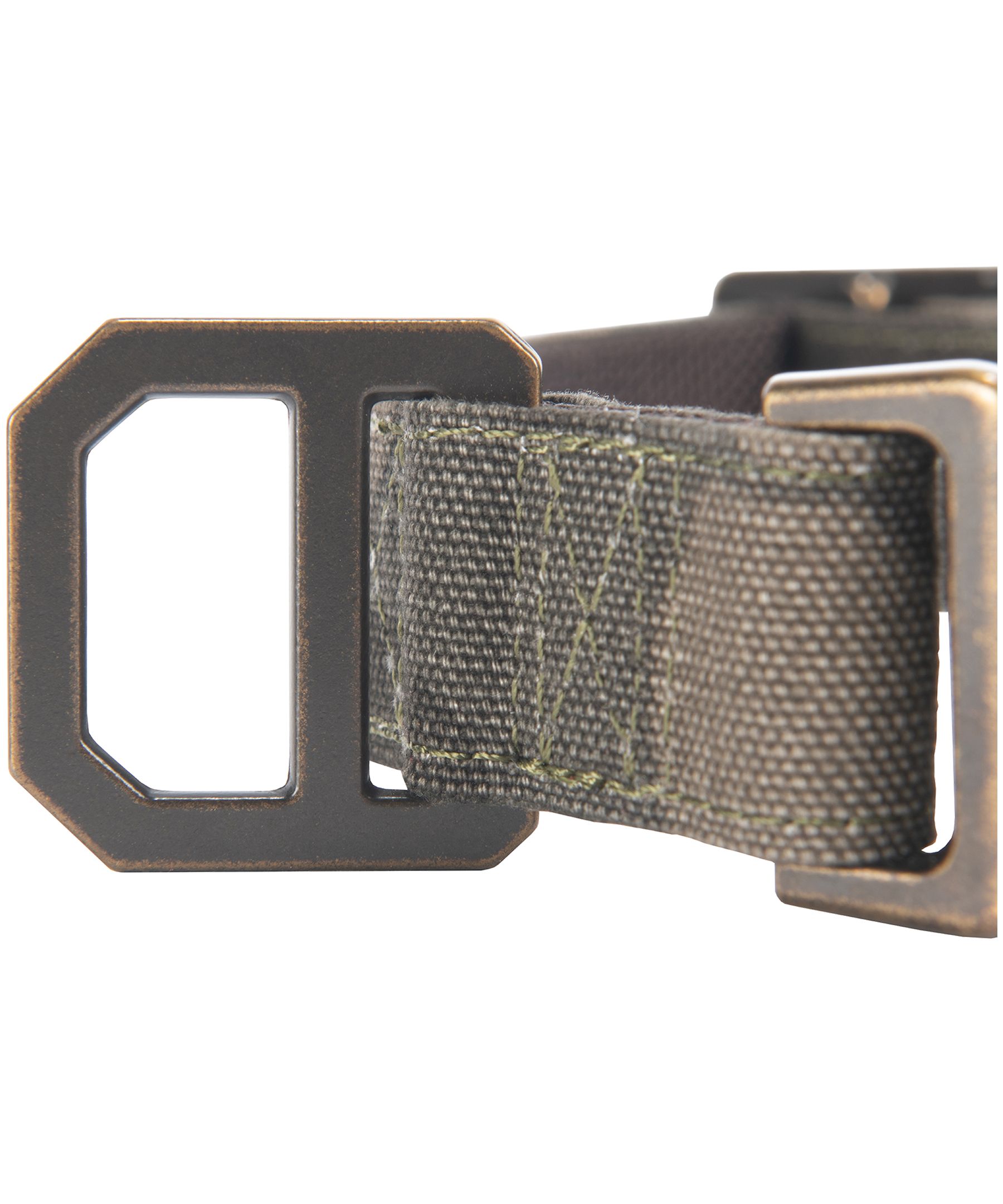 Collier pour chien en toile de nylon, Journeyman, Carhartt