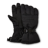 Gants de ski isolés résistants à l’eau pour hommes~ WindRiver