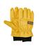 Dakota Workpro Series