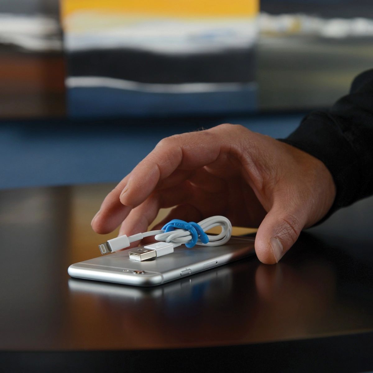 Lien torsadé de 6&nbsp;pouces Gear Tie Cordable, paquet de 4, assortis, Nite Ize