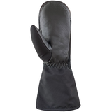 Auclair Men's Back Country Mittens Front_Flat