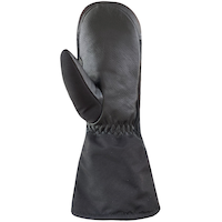 Auclair Men's Back Country Mittens Front_Flat
