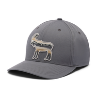 Columbia Men's Lost Lager 110 Snap Back Hat