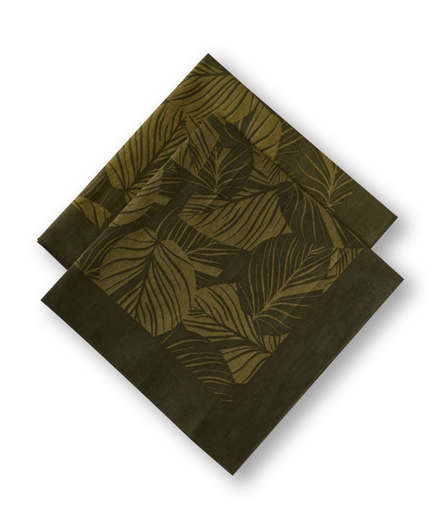 WindRiver Unisex 2 Pack Cotton Bandanas