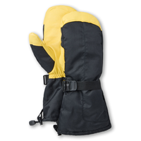 Mitaines à manchettes en peau de daim avec T-Max pour hommes, WindRiver Composite_or_Mixed