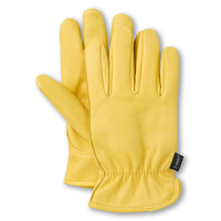 Gants d'hiver en peau de daim avec T-Max pour hommes, série WorkPro, Dakota
