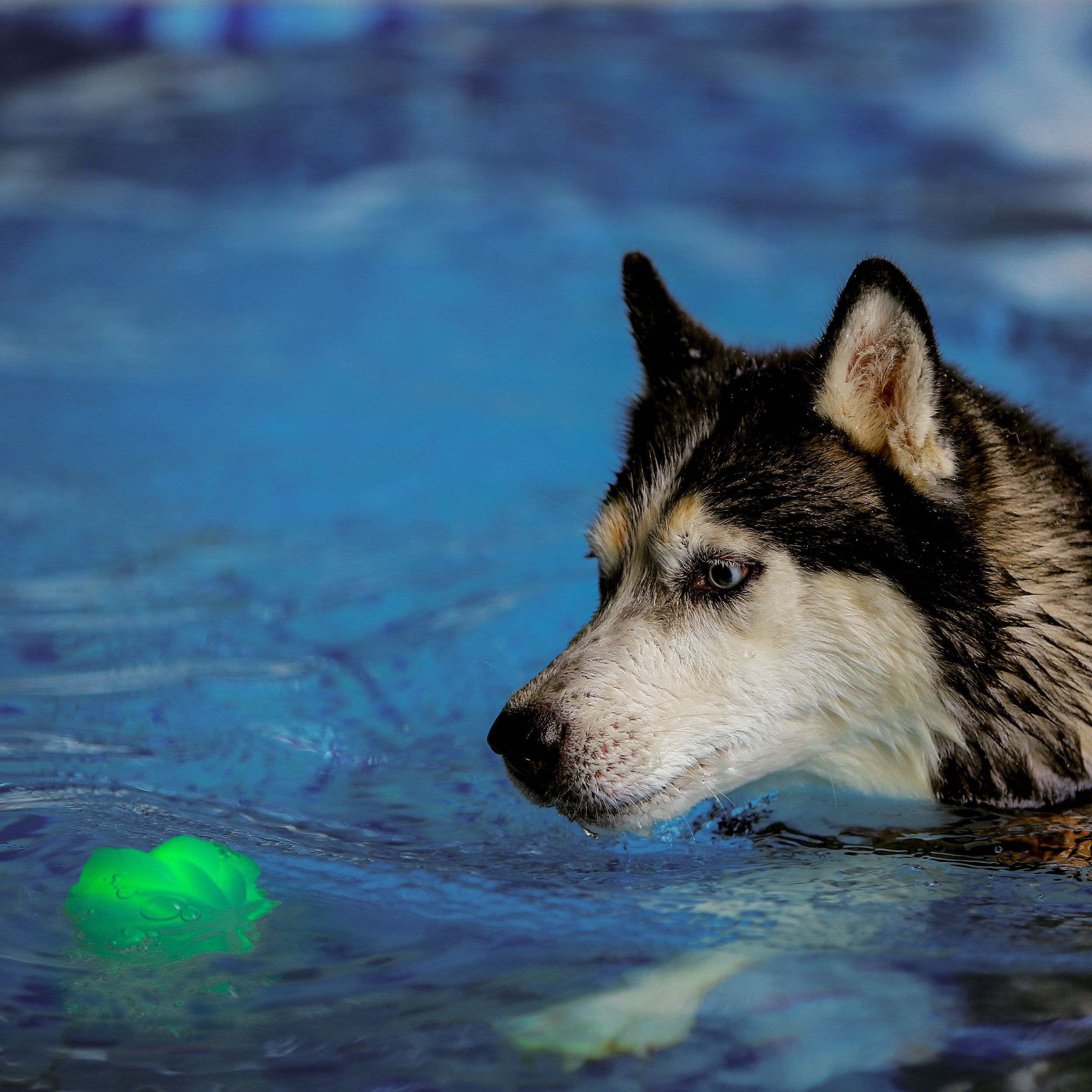 Balle à DEL Glowstreak, Nite Ize