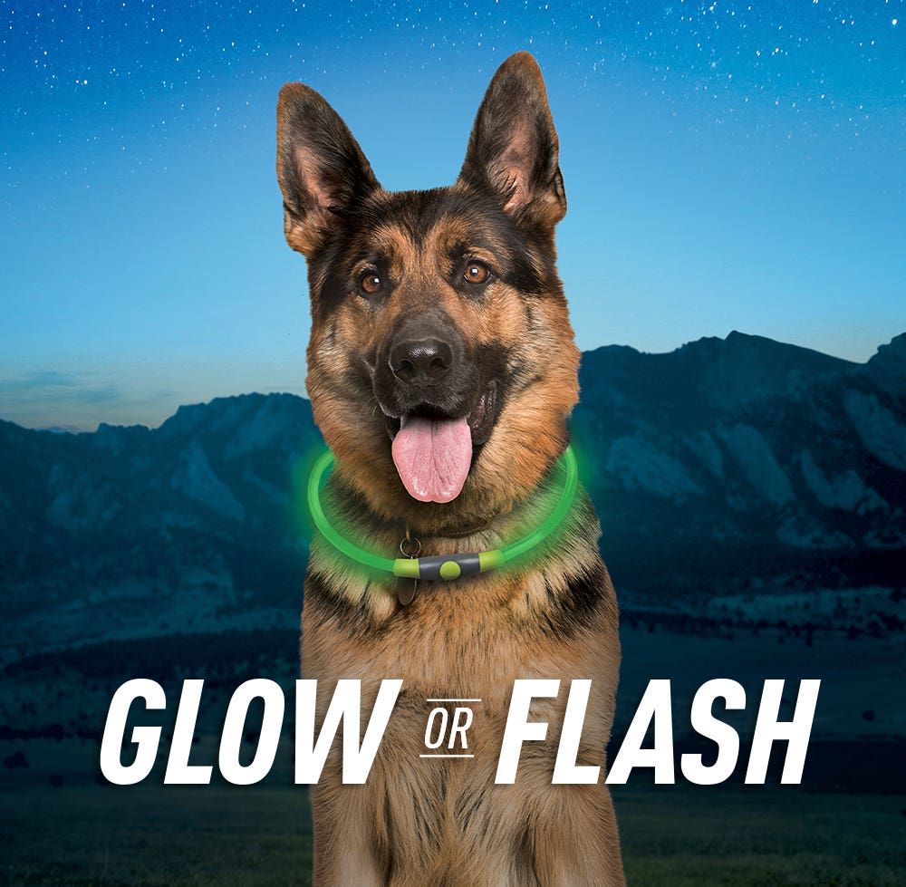 Nite Ize Nitehowl® Rechargeable LED Safety Necklace