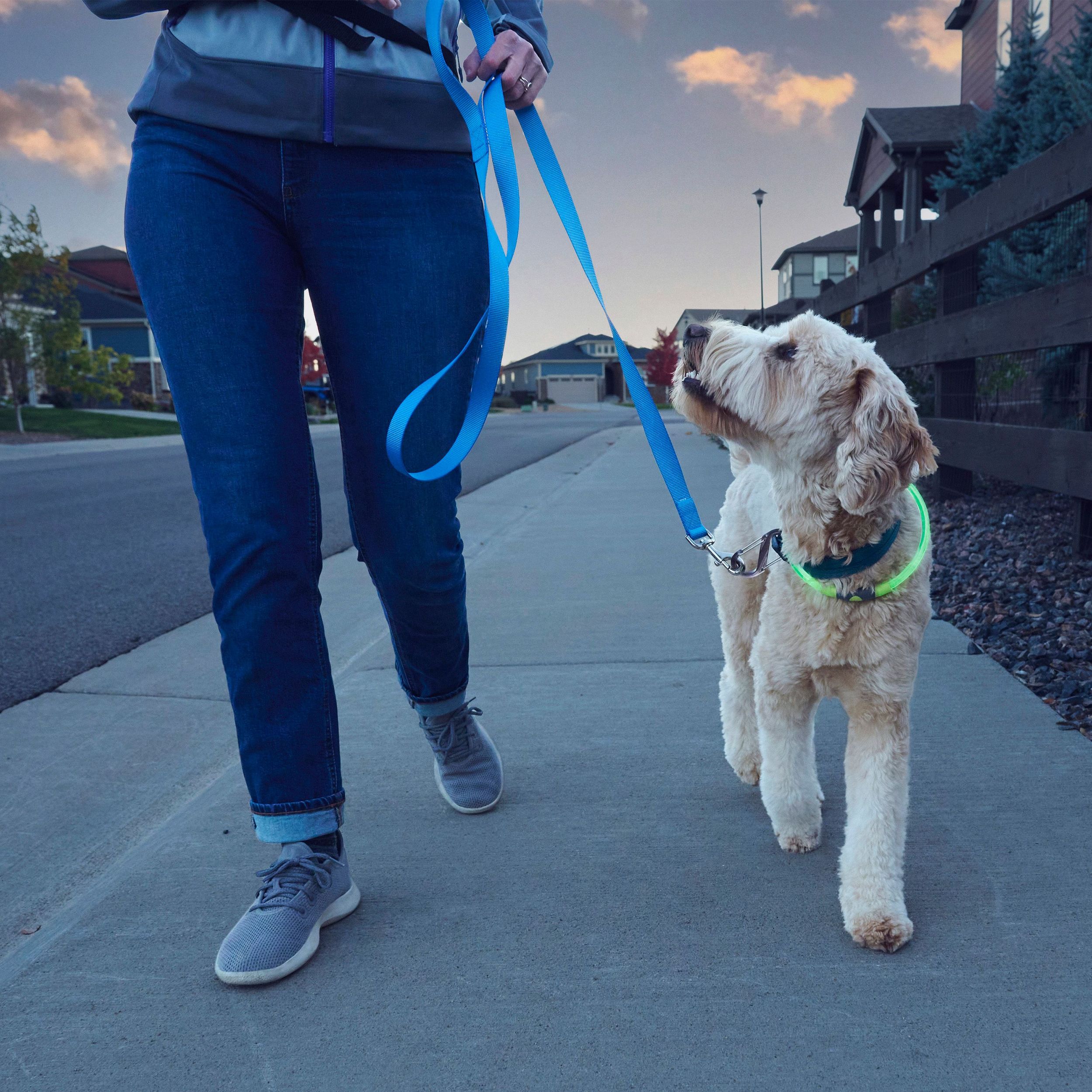 Collier de sécurité à DEL rechargeable, Nitehowl, Nite Ize