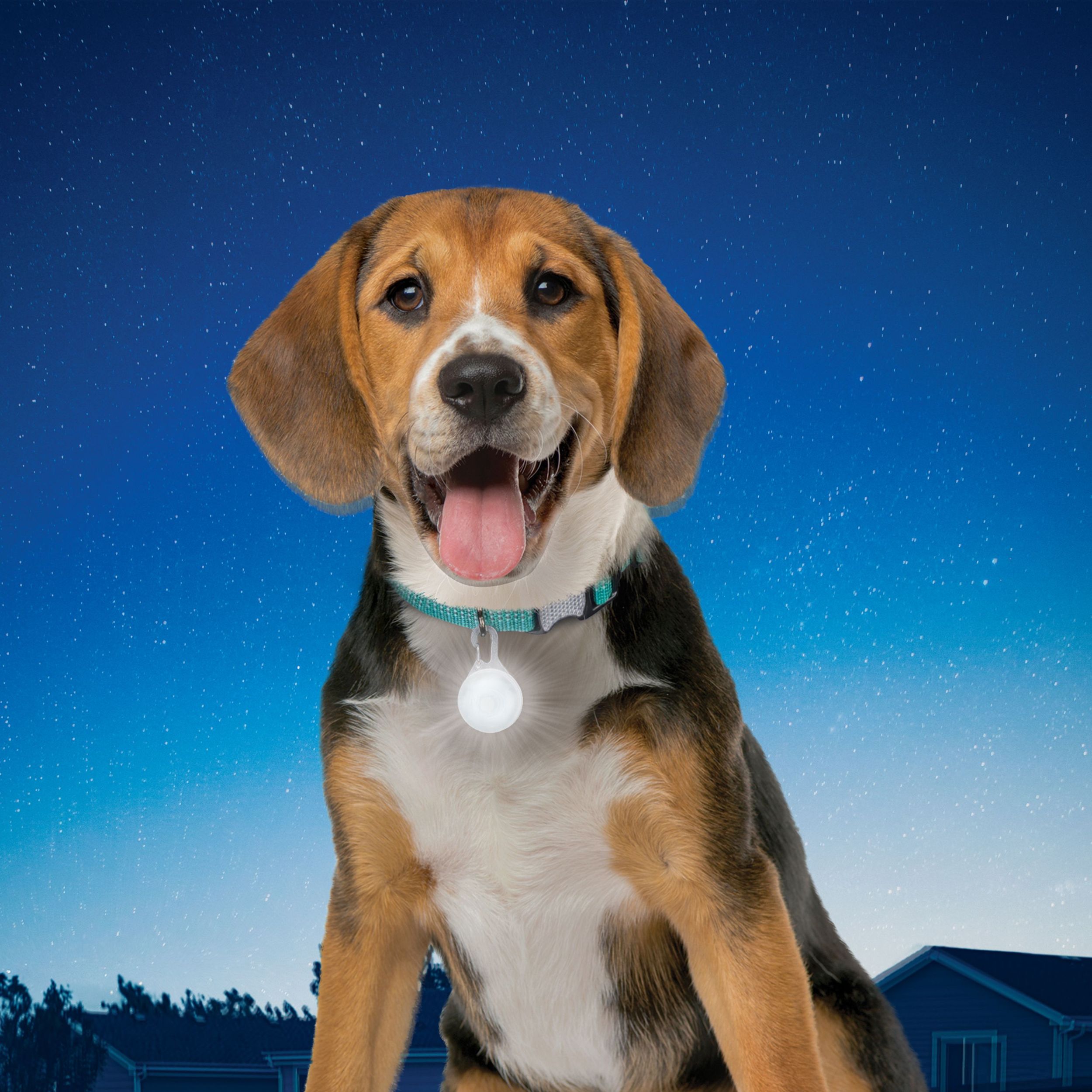 Nite Ize Spotlit Collar Light