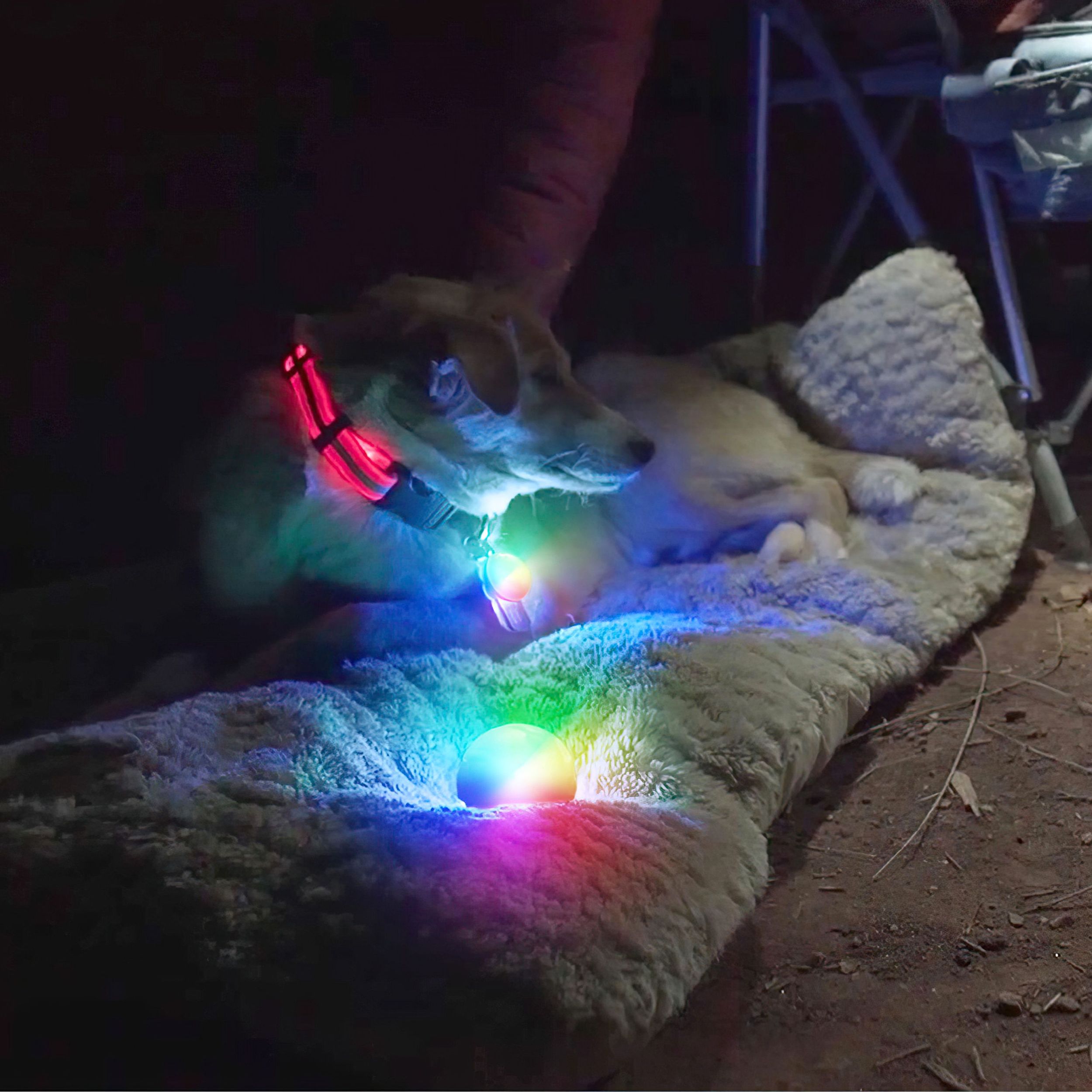 Nite Ize Spotlit Collar Light