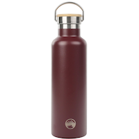 WindRiver 32 oz Stainless Steel Water Bottle