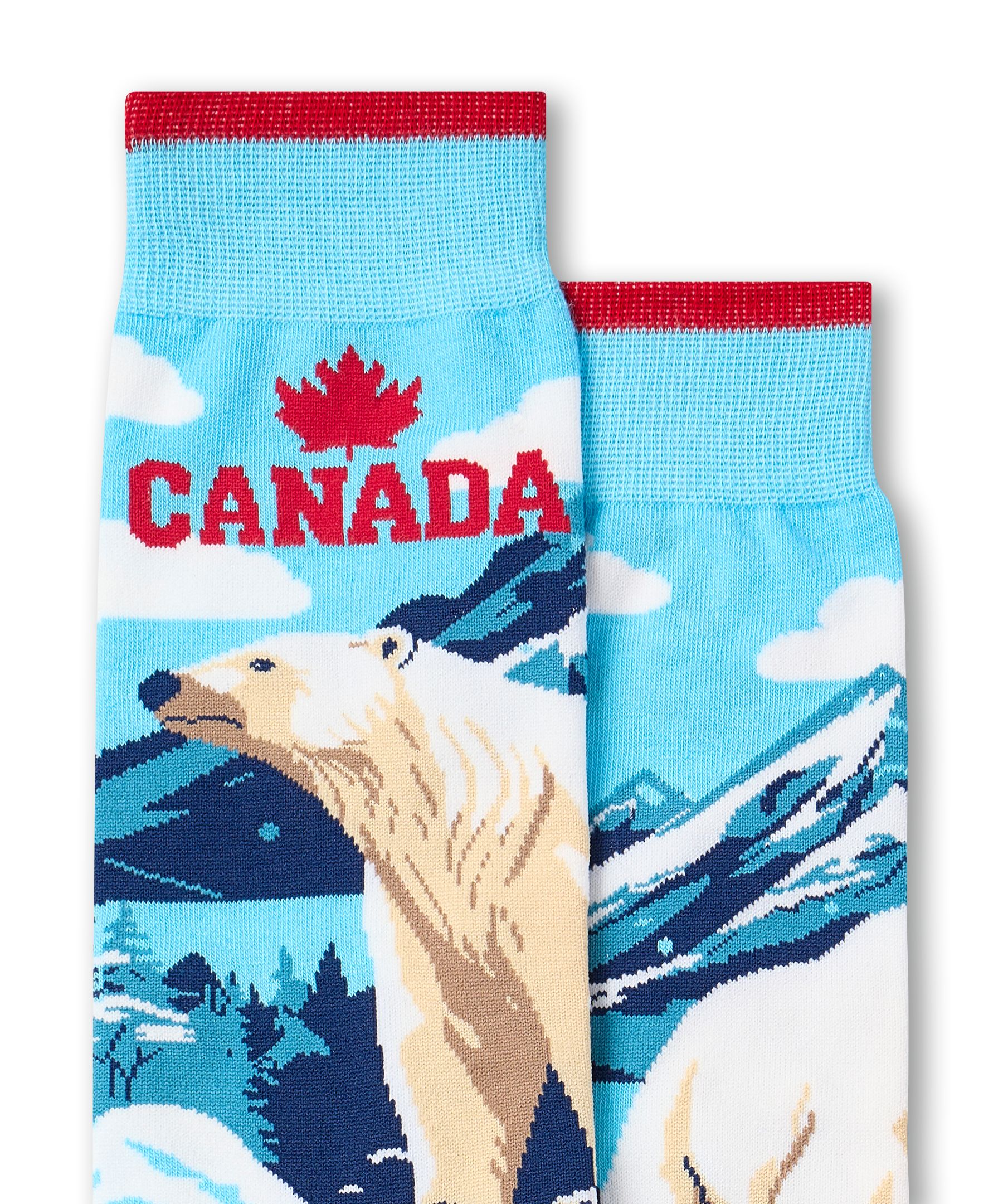 Denver Hayes Men's Novelty Canadiana Crew Socks