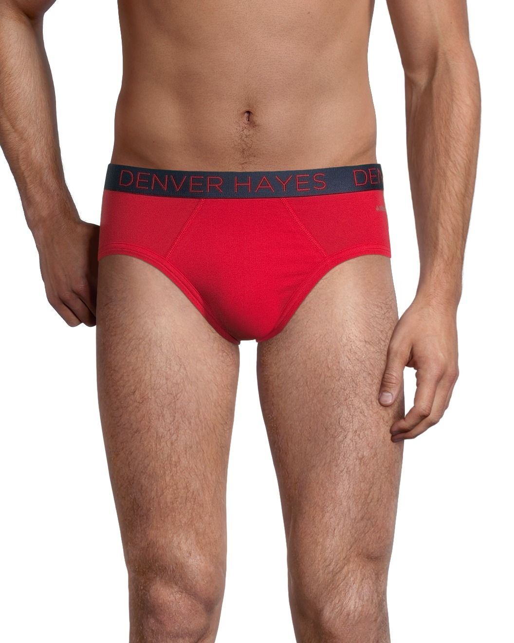 Denver Hayes Men's 4 Pack Classic Bikini Briefs Underwear