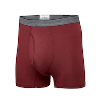 Caleçon boxeur Denver Hayes en rayonne de bambou, pour hommes, paquet de 2 Front_Angled_Left