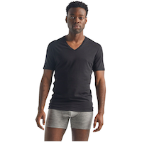 Icebreaker Men's Anatomica Short Sleeve V Neck Base Layer Top Front_Flat