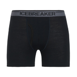 Icebreaker Men's Anatomica Boxers Front_Flat