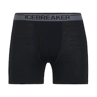 Icebreaker Men's Anatomica Boxers Front_Flat
