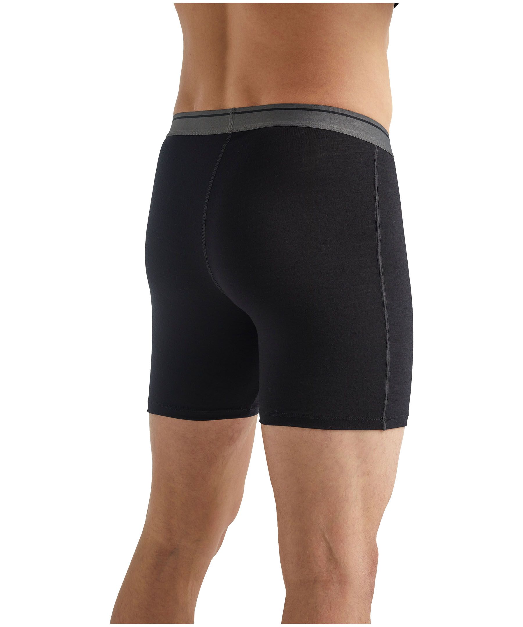 Icebreaker Men's Anatomica Long Boxers