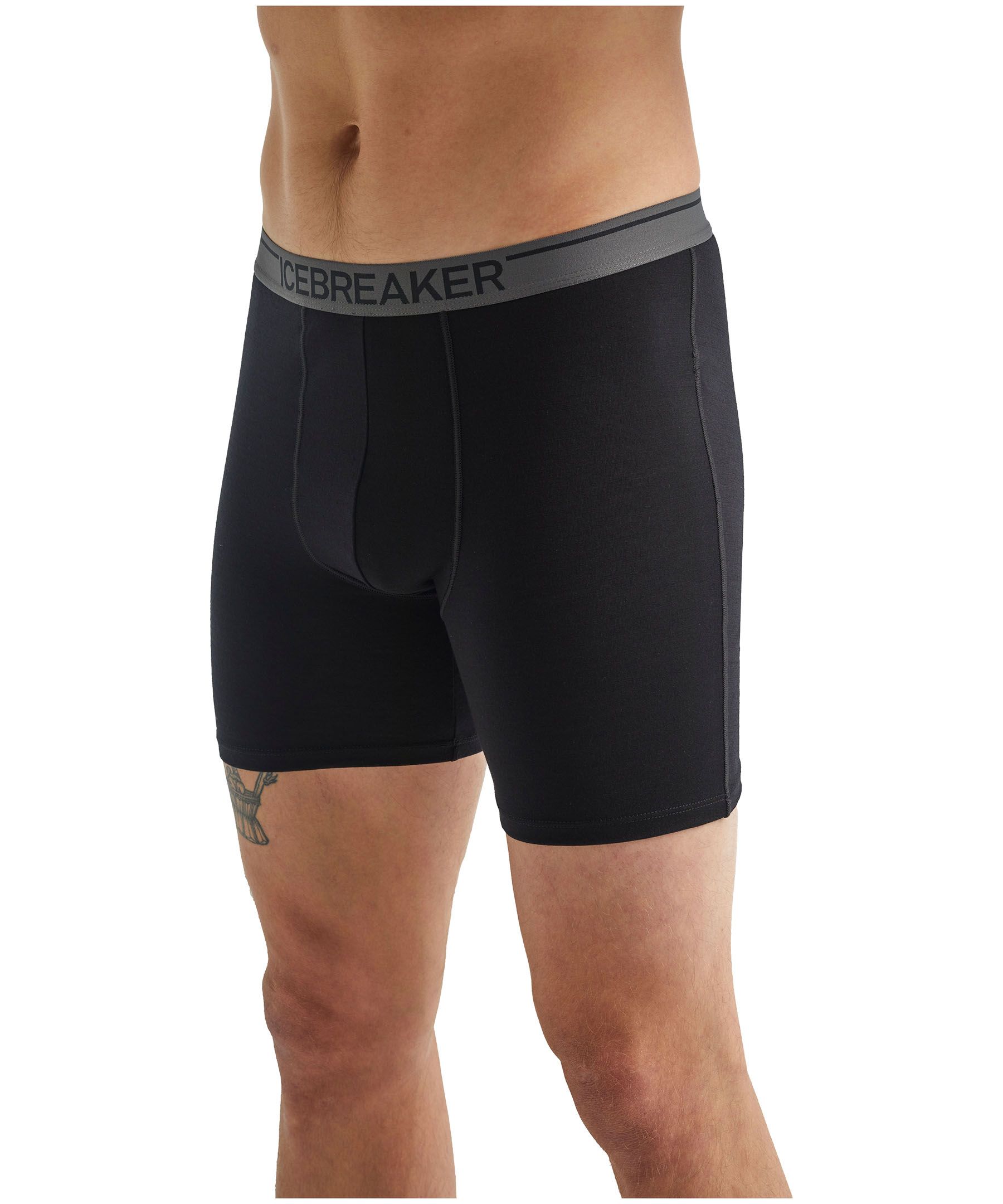 Icebreaker Men's Anatomica Long Boxers