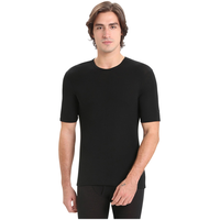 Icebreaker Men's 175 Everyday Crew Shirt Front_Flat