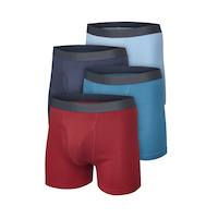 Denver Hayes Men's 4 Pack Classic Boxer Briefs Underwear
