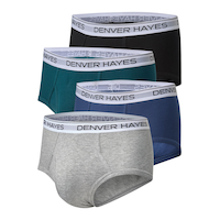 Denver Hayes Men's 4 pk Classic Briefs Front_Angled_Left