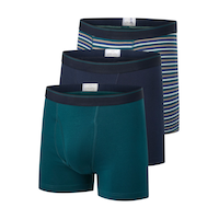 Denver Hayes Men's 3 pk Status Yarn Dye Boxers Briefs Front_Angled_Left