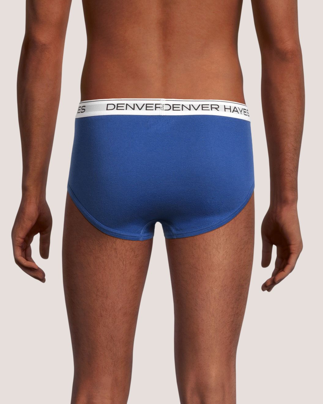 Denver Hayes Men's 4 Pack Classic Briefs