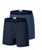 Denver Hayes