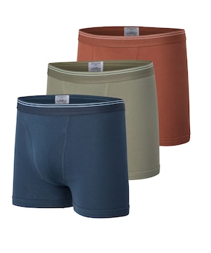 Caleçon boxeur pour hommes, Denver Hayes, Status, paquet de 3