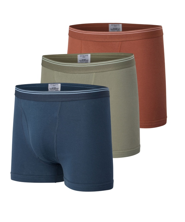 Caleçon boxeur pour hommes, Denver Hayes, Status, paquet de 3