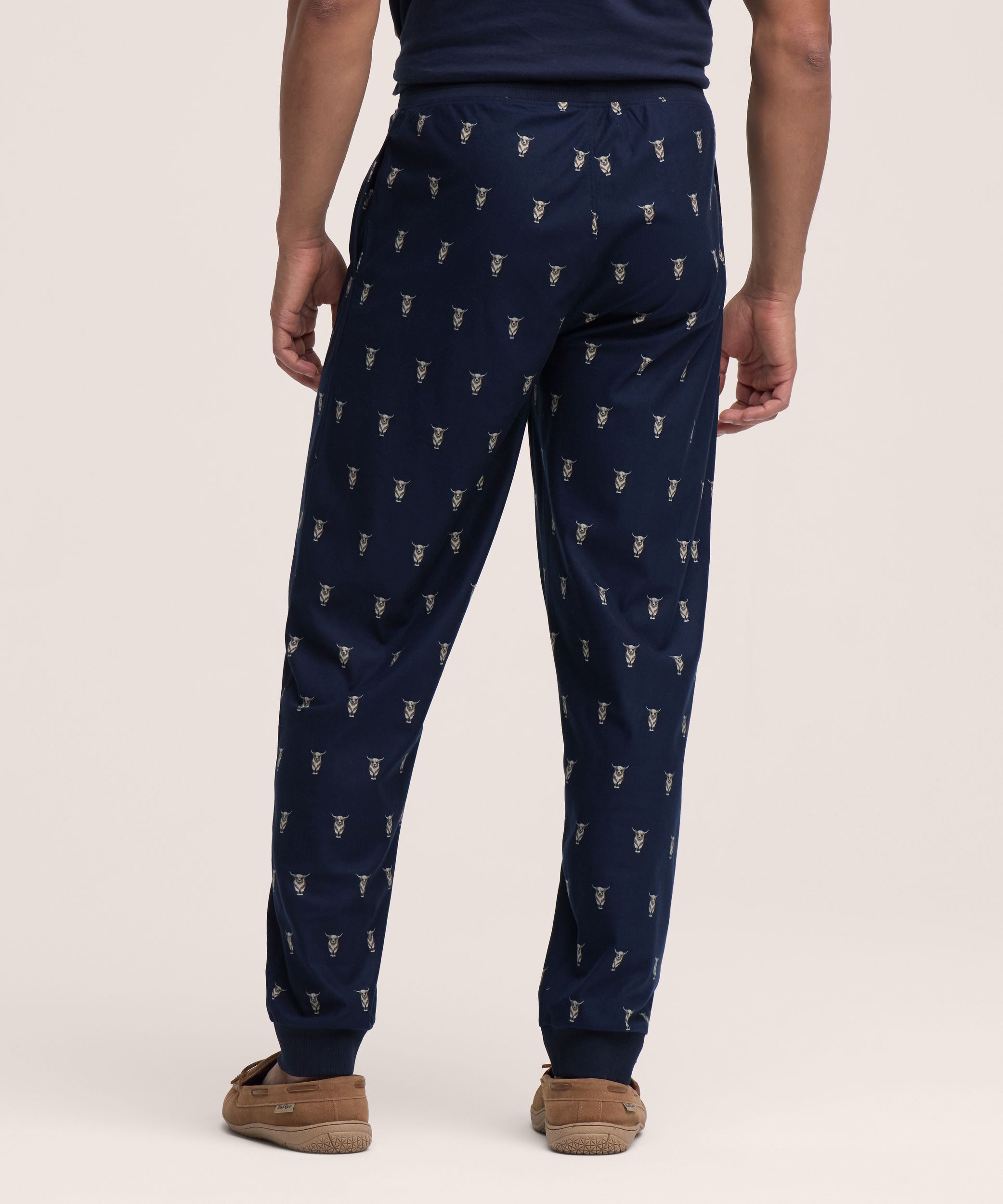 Pantalon de détente de style jogging en molleton à imprimé pour hommes, WindRiver
