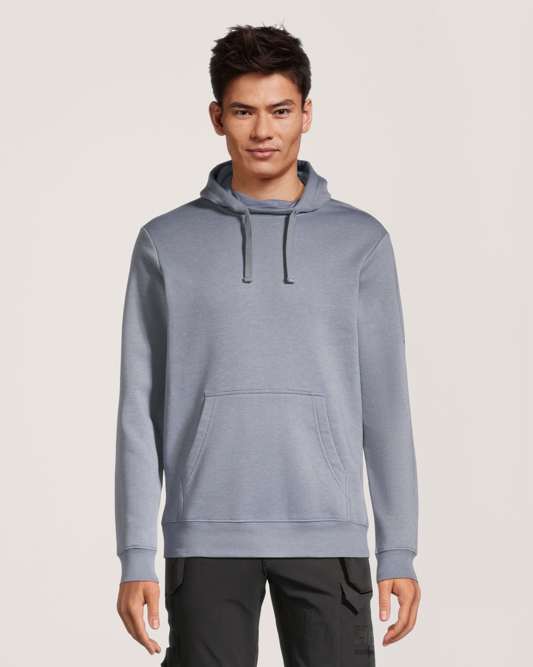 Chandail à capuche classique à logo sur la manche pour hommes, Helly Hansen