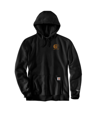 Chandail à capuche à technologie Force et à logo graphique pour hommes, Carhartt