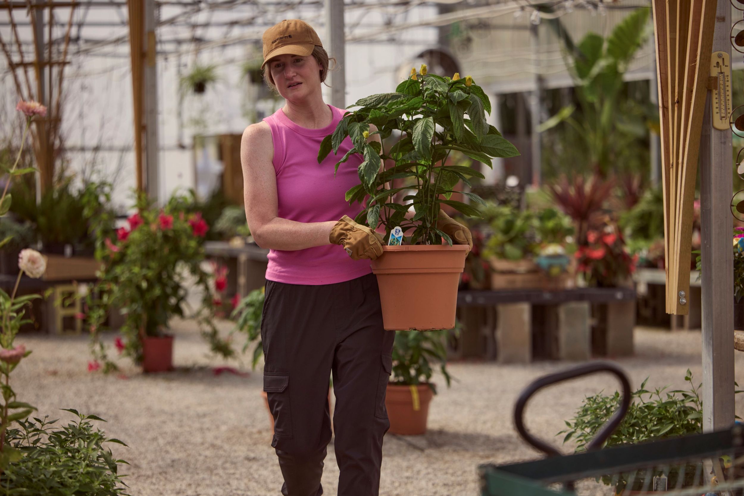 Carhartt Women's Force Sun Defender Cargo Pants