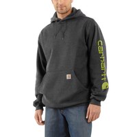 Carhartt Chandail à capuche et manches longues d'épaisseur moyenne avec logo, pour hommes