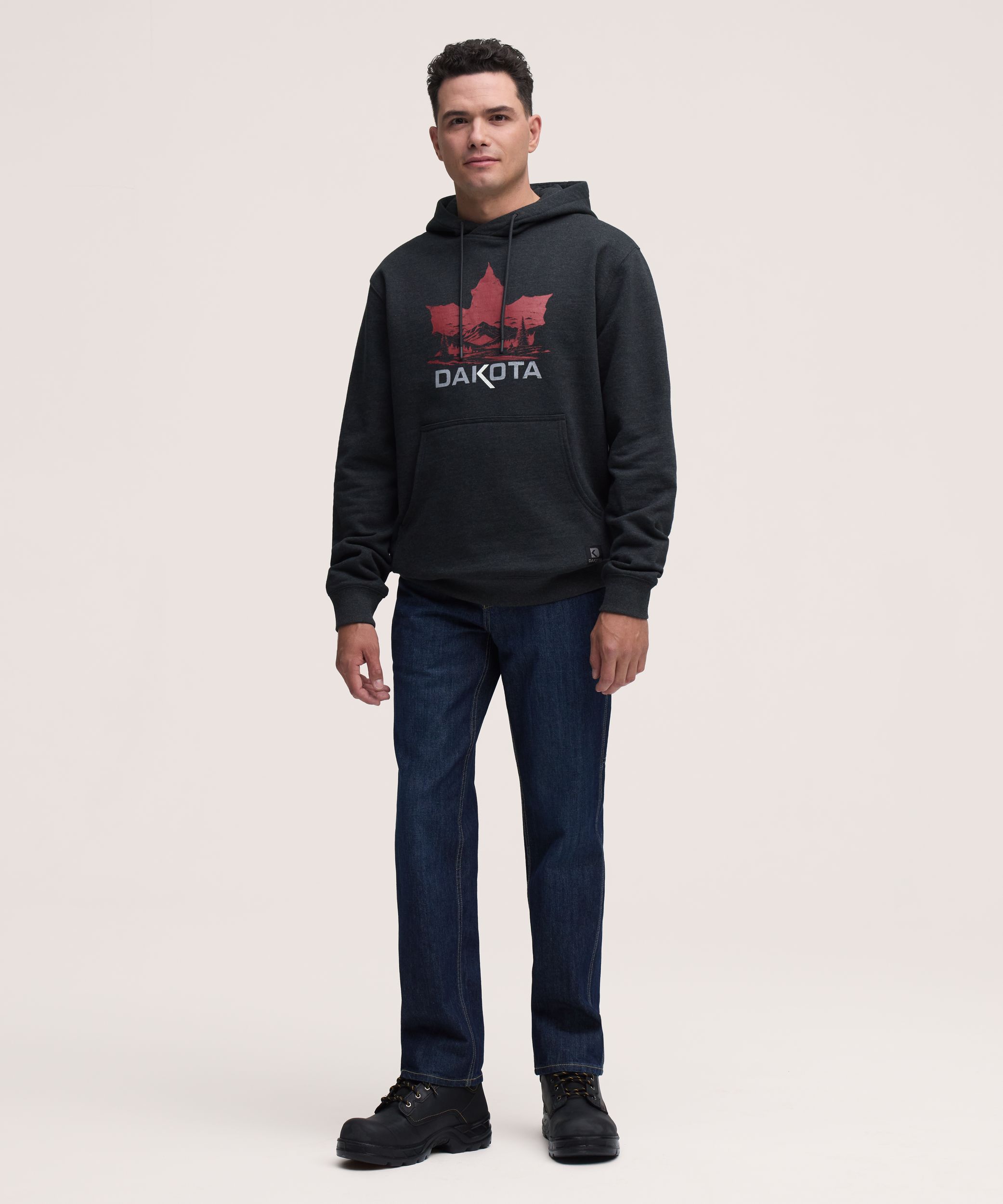 Chandail à capuche en coton avec logo sur la manche pour hommes, série Dakota WorkPro