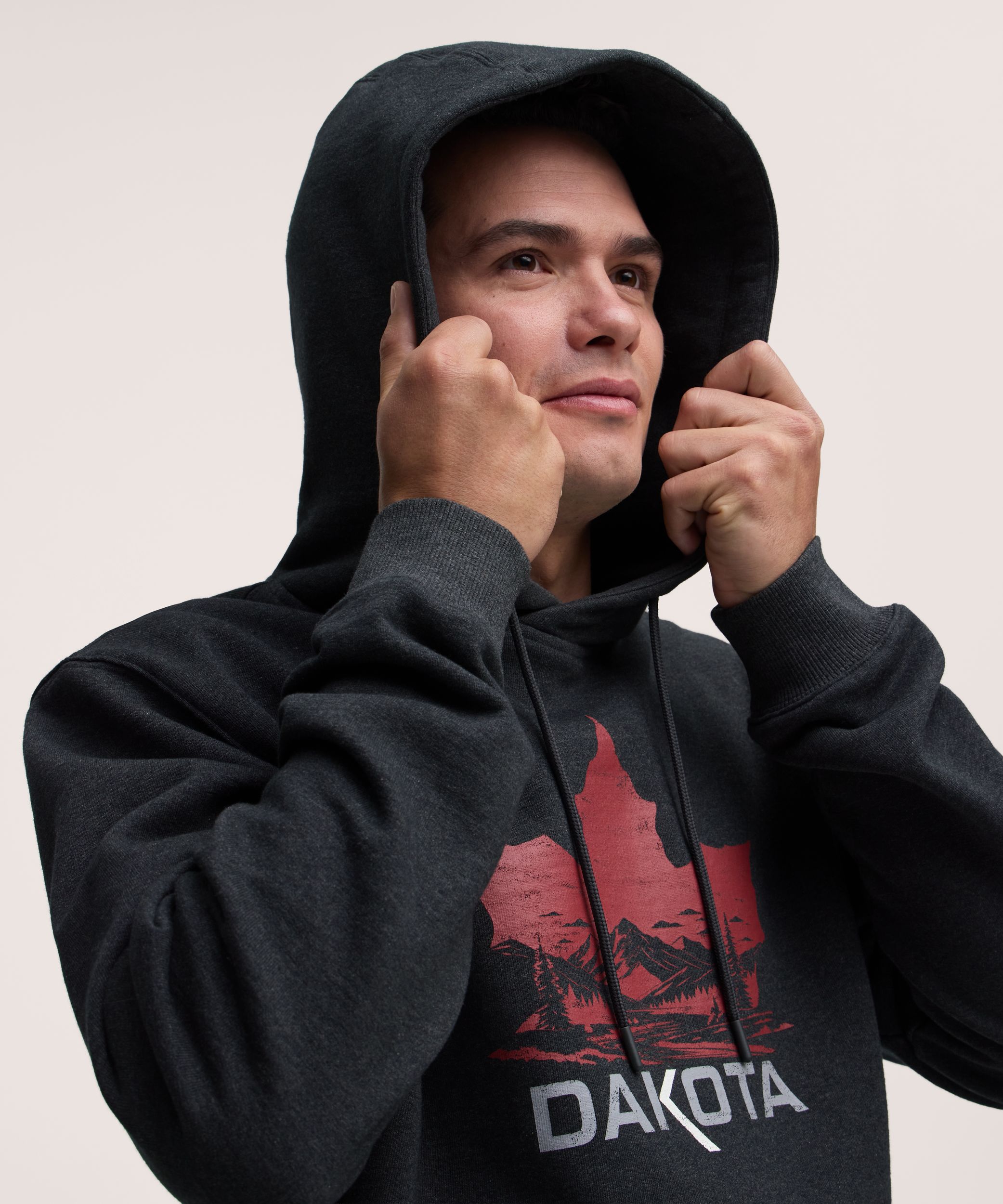 Chandail à capuche en coton avec logo sur la manche pour hommes, série Dakota WorkPro