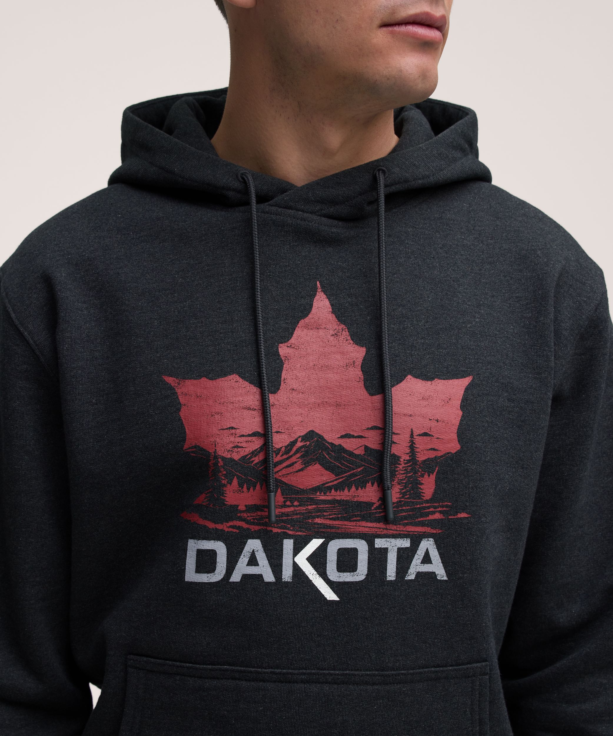 Chandail à capuche en coton avec logo sur la manche pour hommes, série Dakota WorkPro
