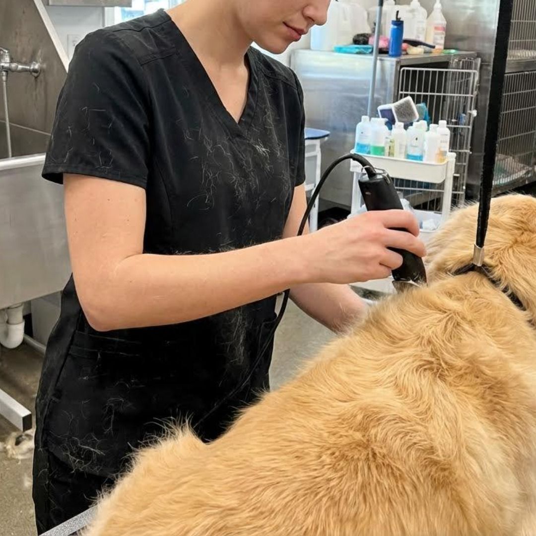 Scrubletics Women's V Neck Knit Panel Scrub Top