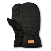 WindRiver Women's Retro Waterproof T-Max Insulated Mittens Composite_or_Mixed